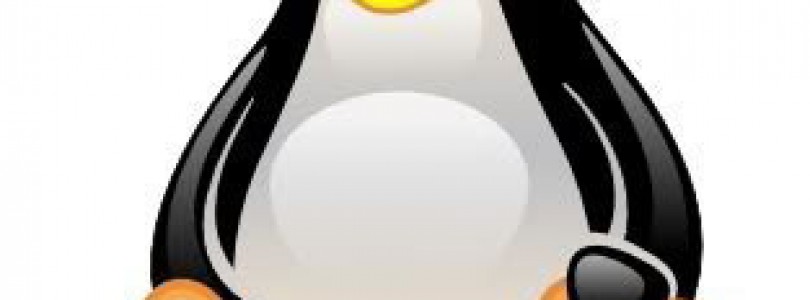 Linux Foundation maakt booten Linux mogelijk op Windows 8 PC’s