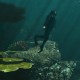 Rockstar geeft nieuwe screenshots GTA V vrij
