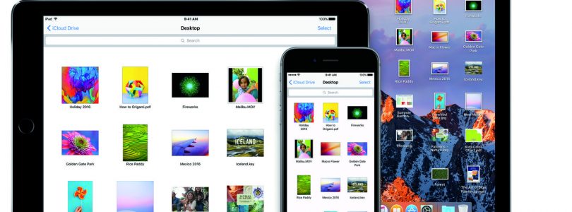 Universele iPhone-, iPad- en macOS-apps komen in 2019