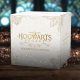 Harry Potter: Hogwarts Legacy Collector’s Edition kopen? Alles wat je moet weten